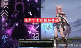 瑶妹最新皮肤爆料视频下载